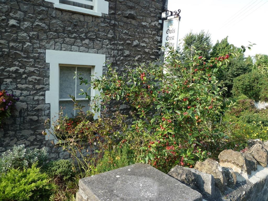 ويستون سوبر مير The Owls Crest House B&B المظهر الخارجي الصورة